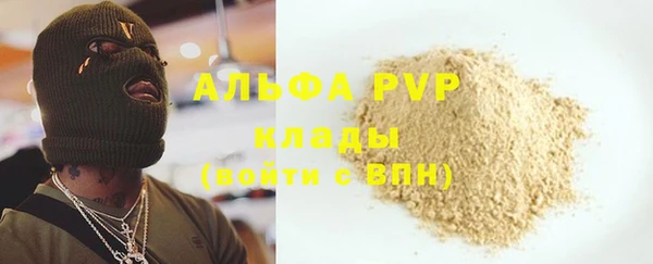 ПСИЛОЦИБИНОВЫЕ ГРИБЫ Вязьма