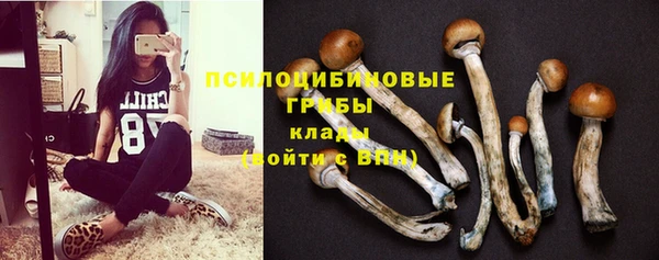ПСИЛОЦИБИНОВЫЕ ГРИБЫ Вязьма
