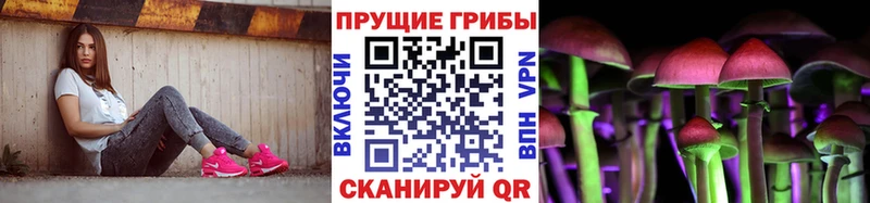 Псилоцибиновые грибы Psilocybine cubensis  Зубцов 