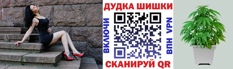 Каннабис планчик  закладки  Зубцов 